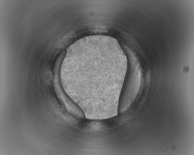 X0000112350704200909241102