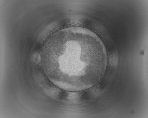 X0000112350705200909241102