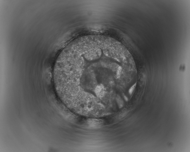 X0000112350707200909241102