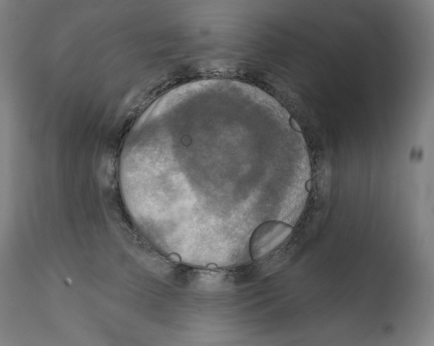 X0000112350709200909241102