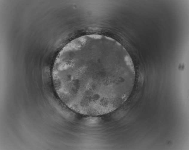 X0000112350711200909241102