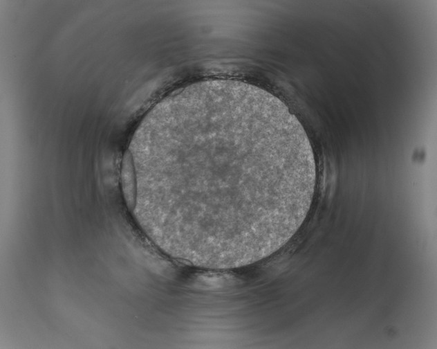 X0000112350712200909241102