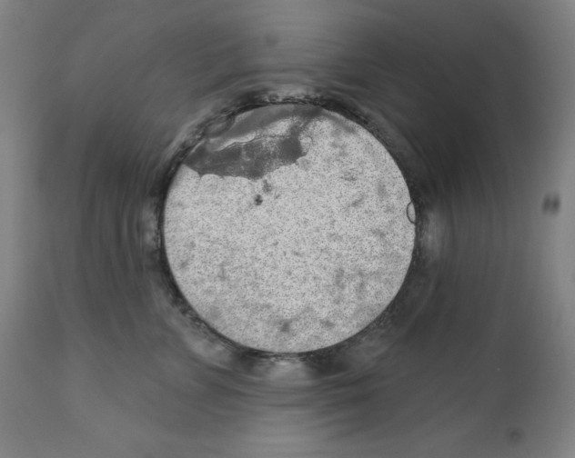 X0000112350715200909241102