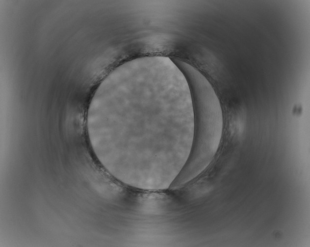 X0000112350716200909241102