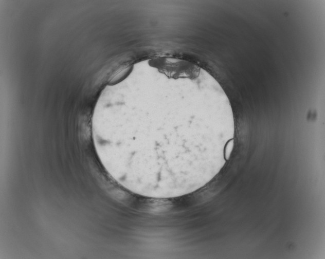 X0000112350719200909241102