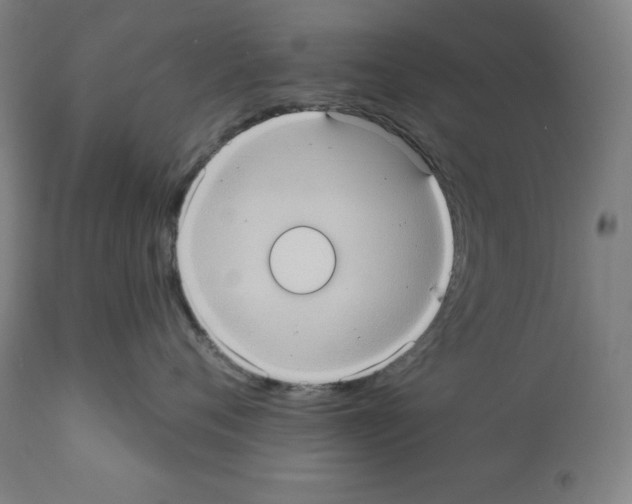 X0000112350720200909241102