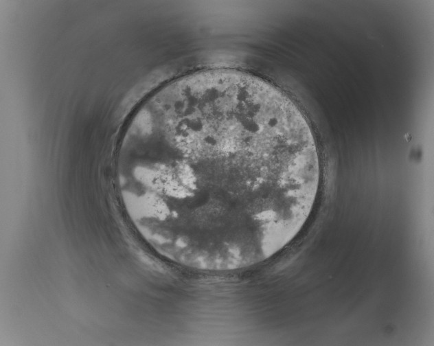 X0000112350721200909241101