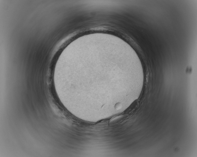 X0000112350724200909241101