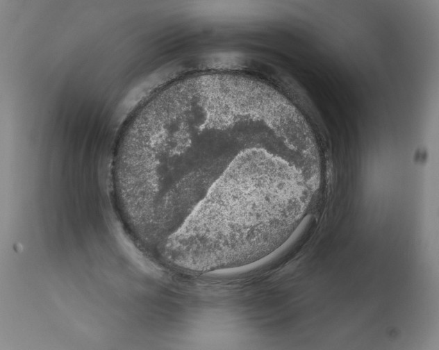 X0000112350725200909241101