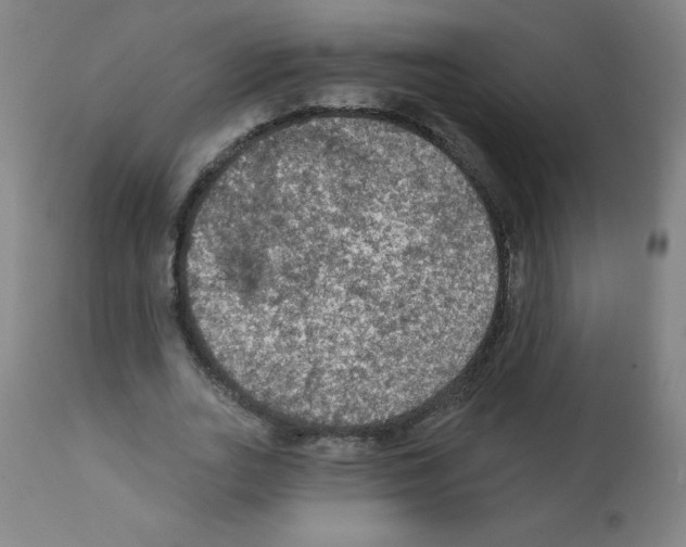 X0000112350727200909241101