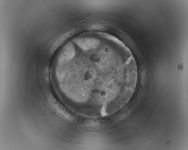 X0000112350729200909241101