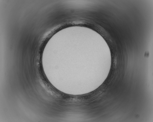 X0000112350732200909241101