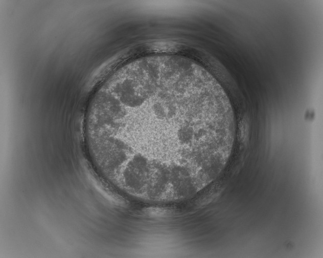 X0000112350733200909241101