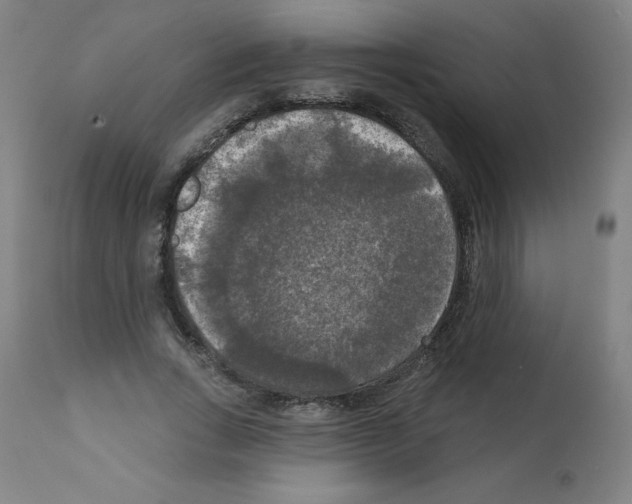 X0000112350735200909241101