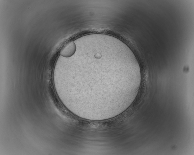 X0000112350736200909241101