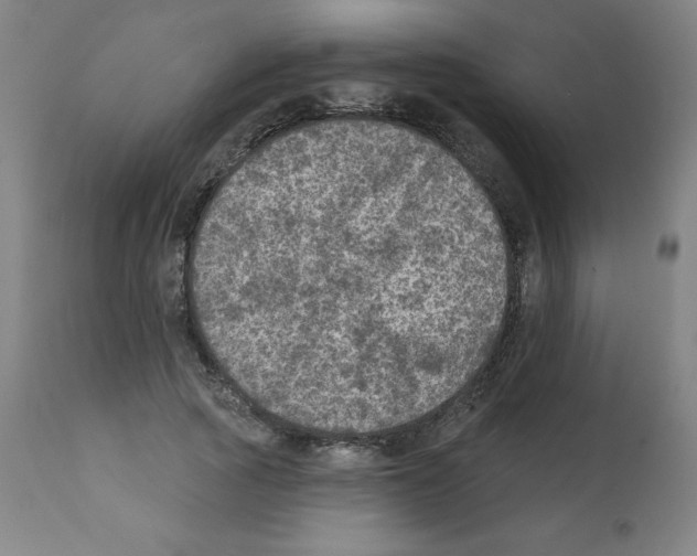 X0000112350737200909241101