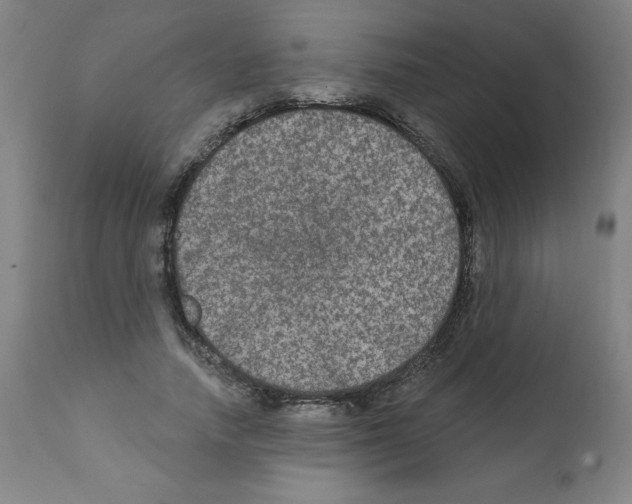 X0000112350738200909241101