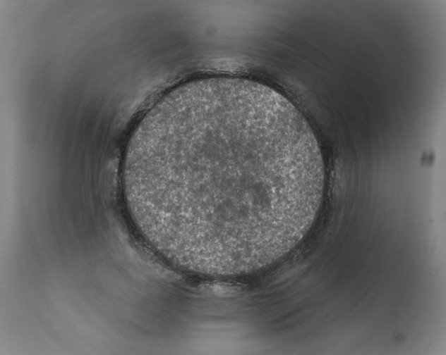 X0000112350739200909241101