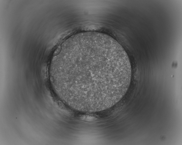 X0000112350743200909241101