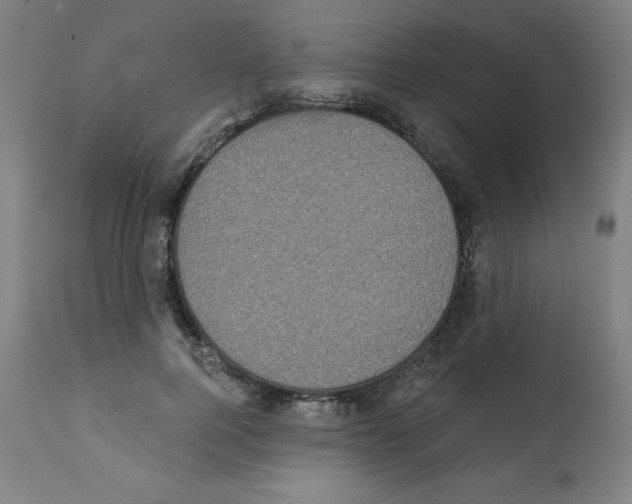 X0000112350744200909241101