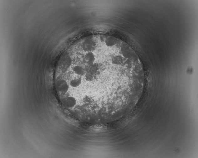 X0000112350745200909241101