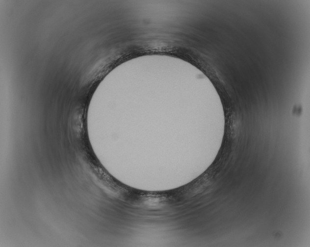 X0000112350746200909241101