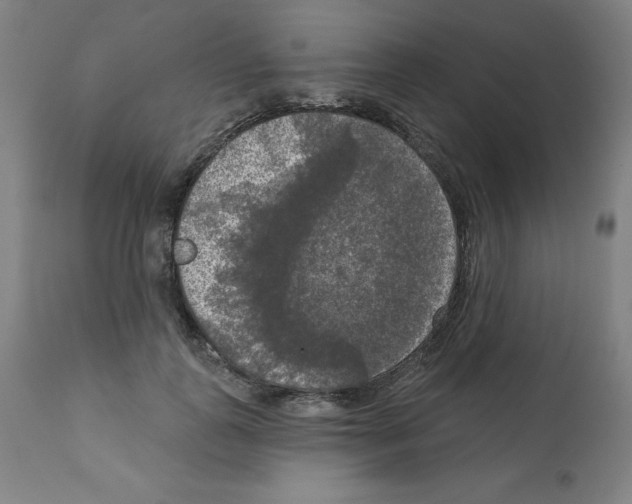 X0000112350747200909241102