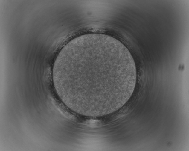 X0000112350748200909241102