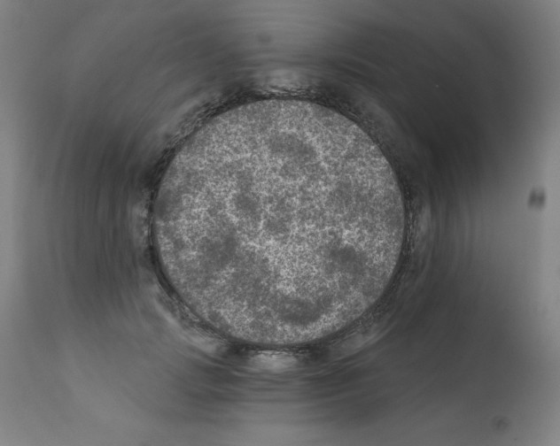 X0000112350749200909241102