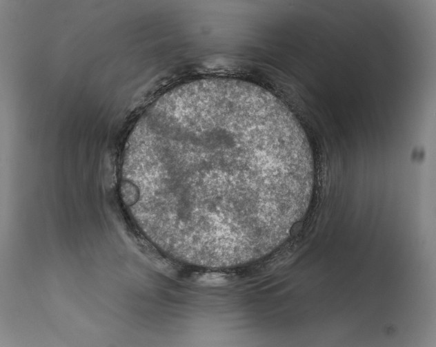 X0000112350751200909241102