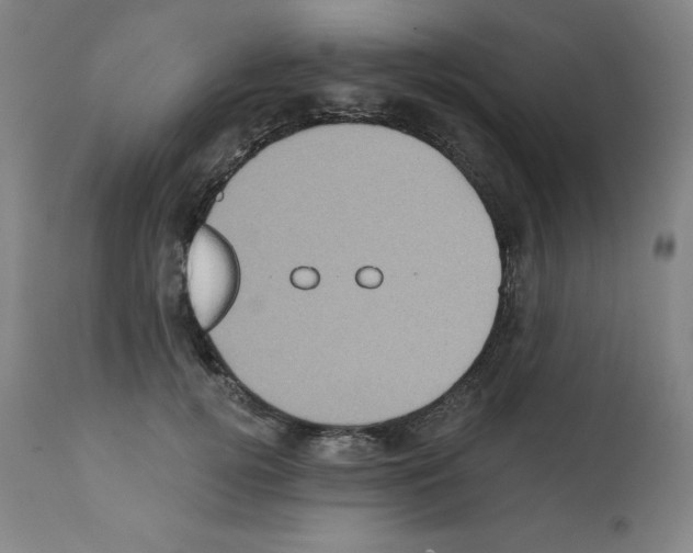 X0000112350752200909241102