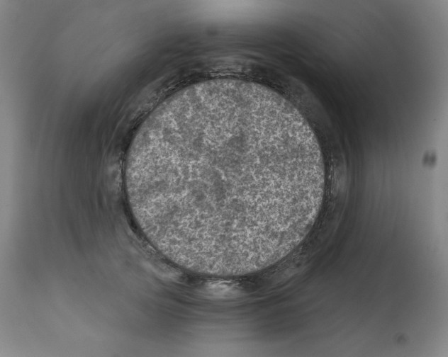 X0000112350753200909241102