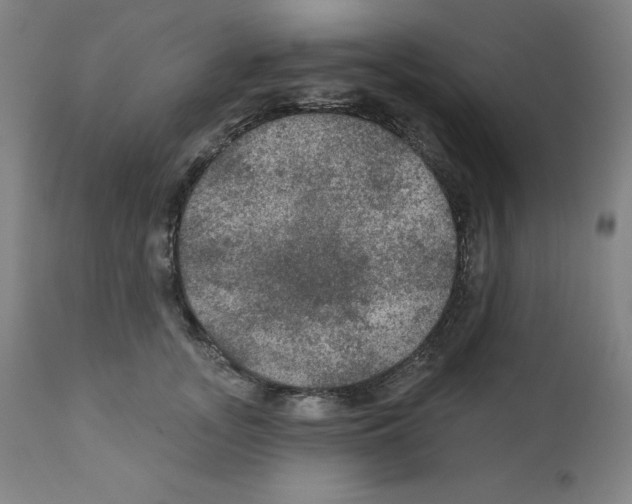 X0000112350755200909241102