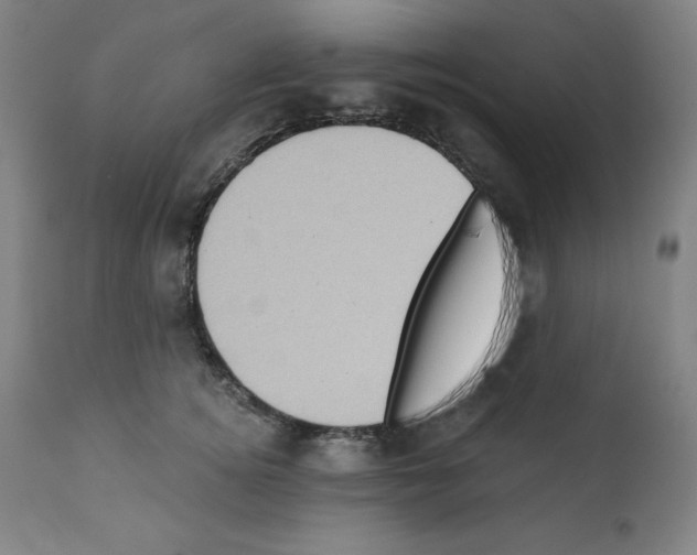 X0000112350756200909241102