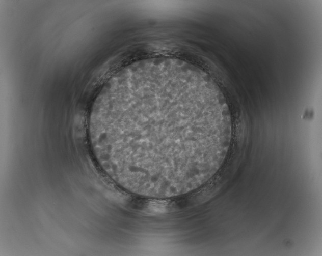 X0000112350757200909241102