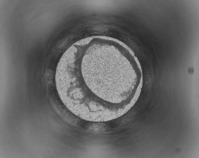 X0000112350758200909241102