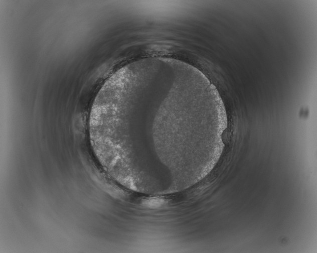 X0000112350759200909241102