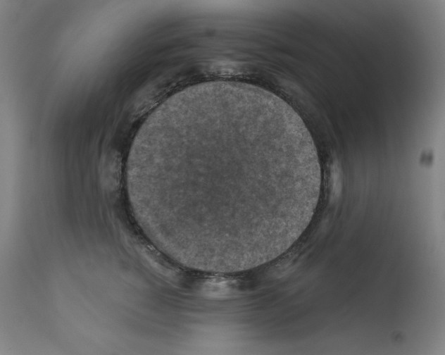 X0000112350760200909241102