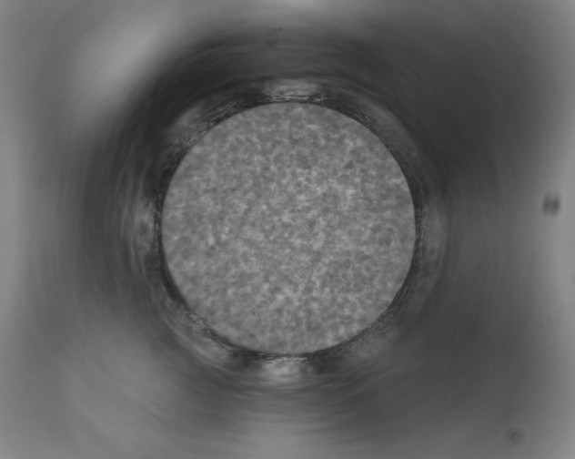 X0000112350761200909241102