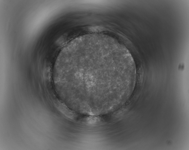 X0000112350762200909241102