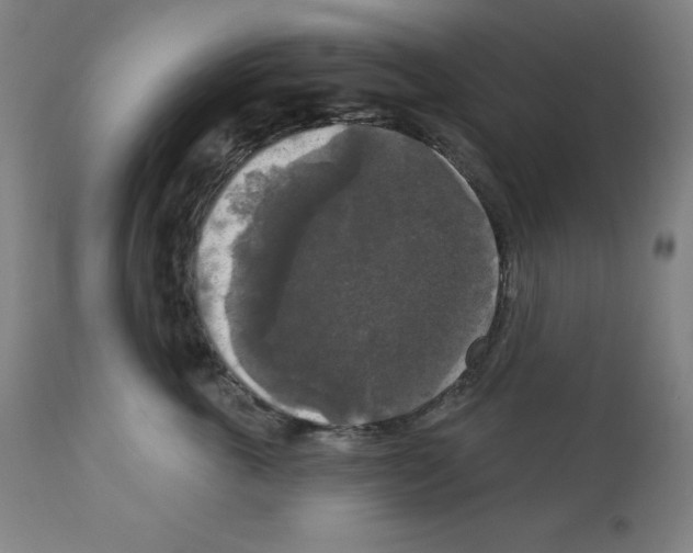 X0000112350763200909241102