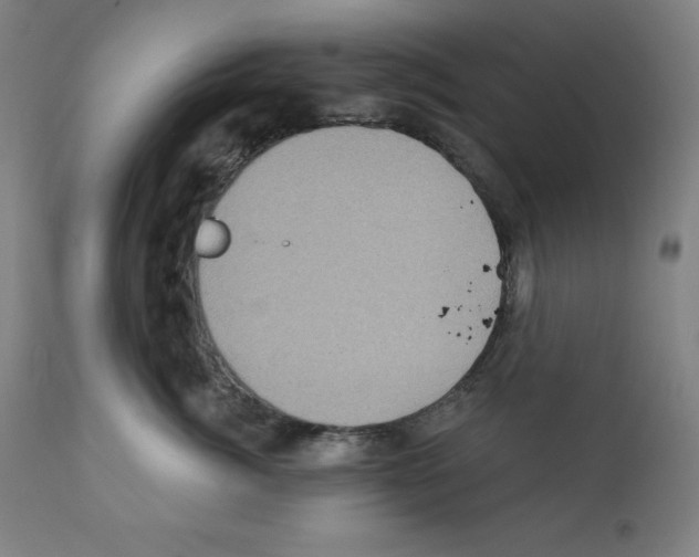 X0000112350764200909241102