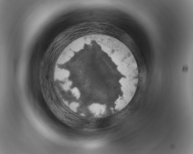 X0000112350765200909241102