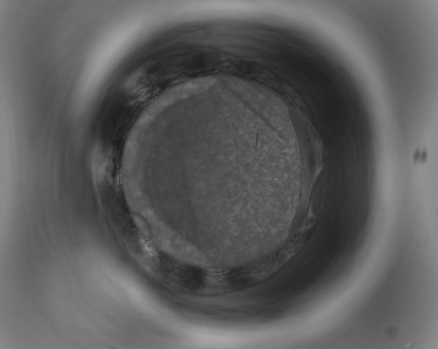 X0000112350766200909241102