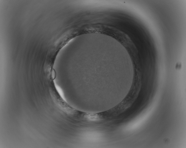 X0000112350767200909241102