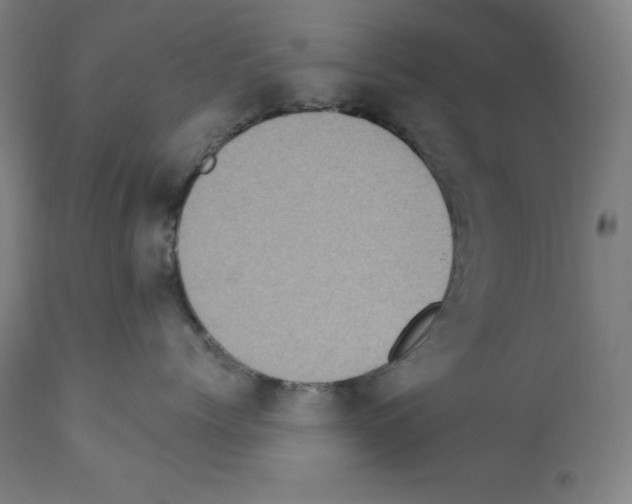 X0000112350768200909241102