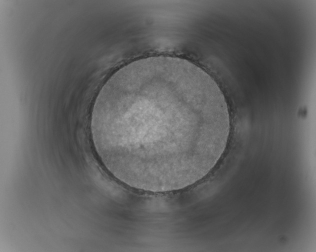 X0000112350769200909241101