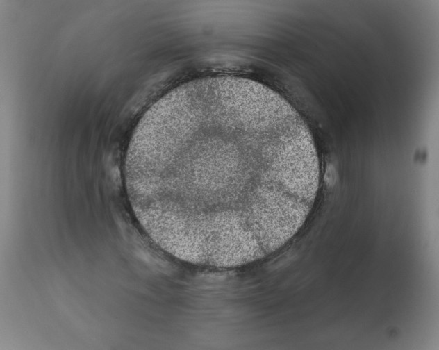 X0000112350771200909241101