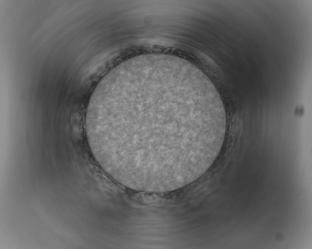 X0000112350774200909241101