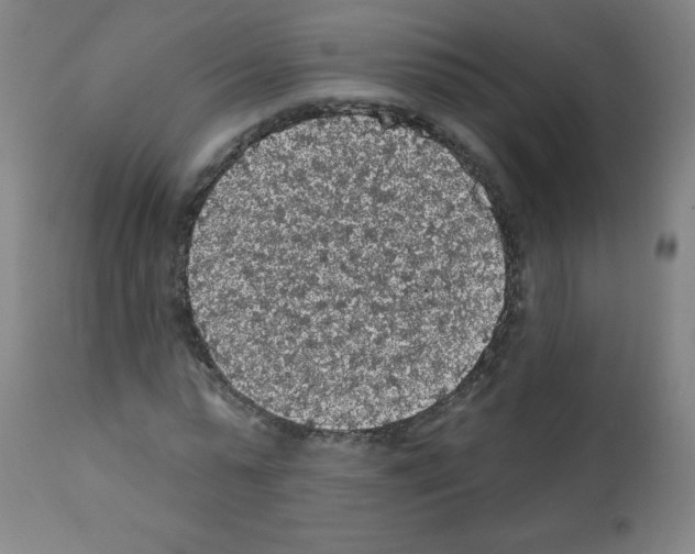 X0000112350775200909241101